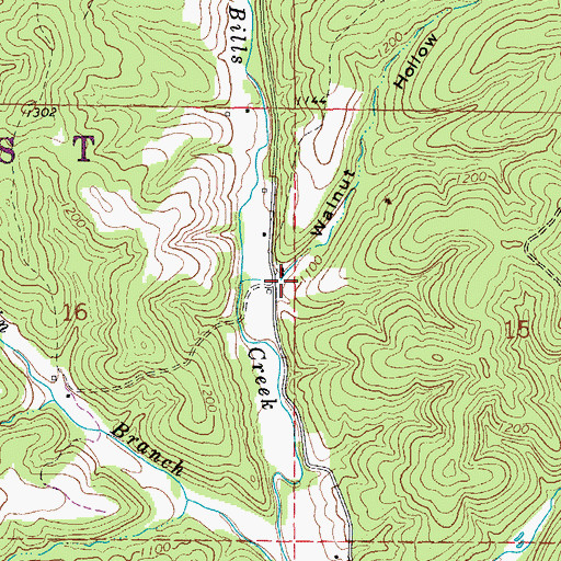 Topographic Map of Walnut Hollow, MO