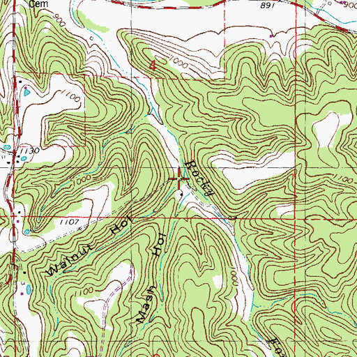 Topographic Map of Walnut Hollow, MO