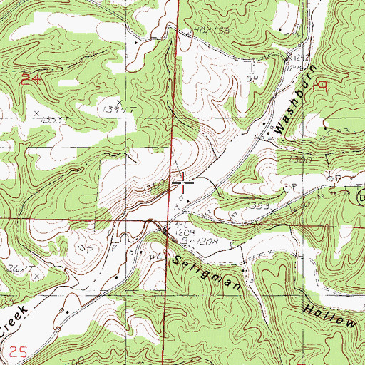 Topographic Map of Washburn Hollow, MO