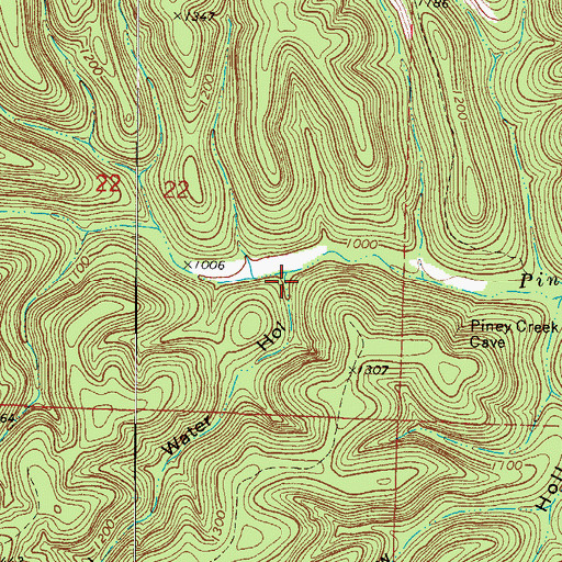 Topographic Map of Water Hollow, MO