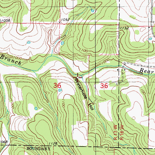 Topographic Map of Waterhole Hollow, MO