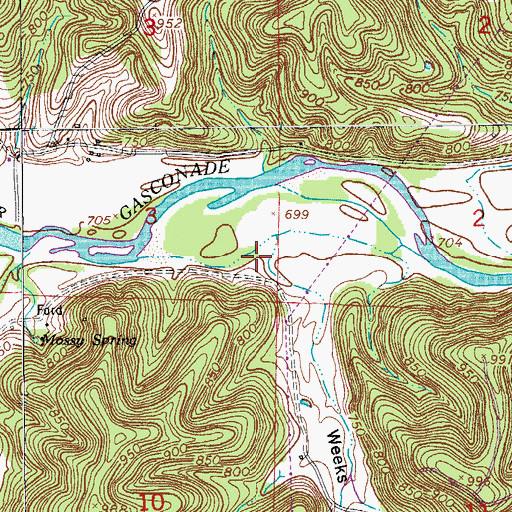 Topographic Map of Weeks Hollow, MO