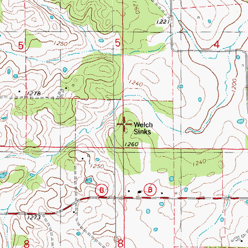 Topographic Map of Welch Sinks, MO