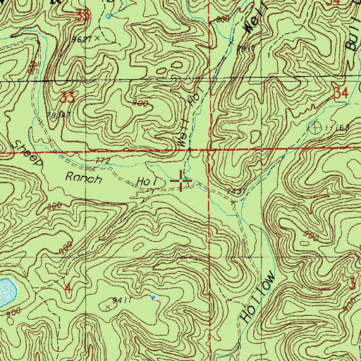 Topographic Map of Well Hollow, MO
