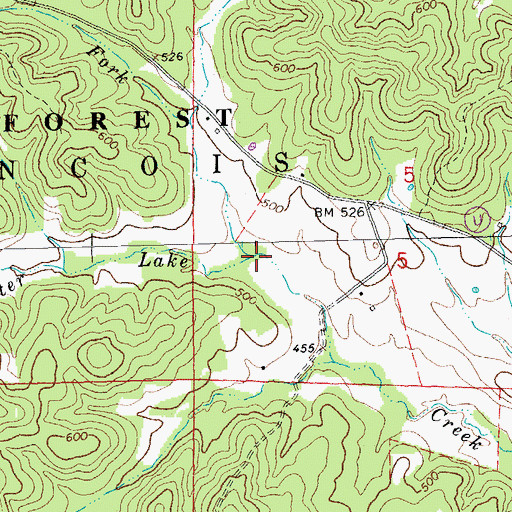 Topographic Map of Wet Fork, MO