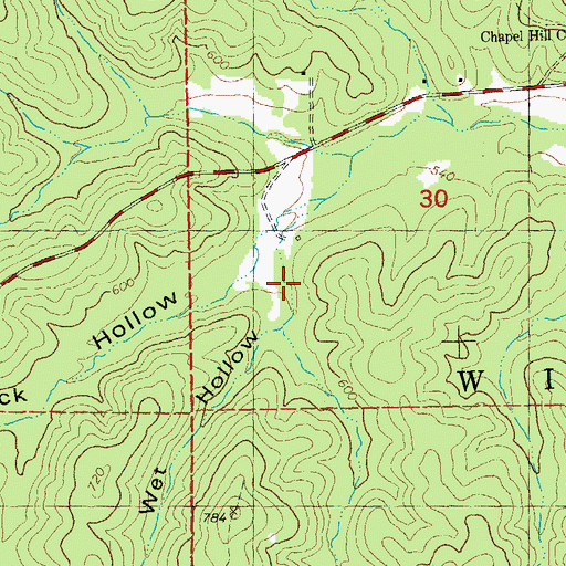 Topographic Map of Wet Hollow, MO