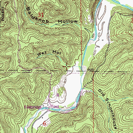 Topographic Map of Wet Hollow, MO