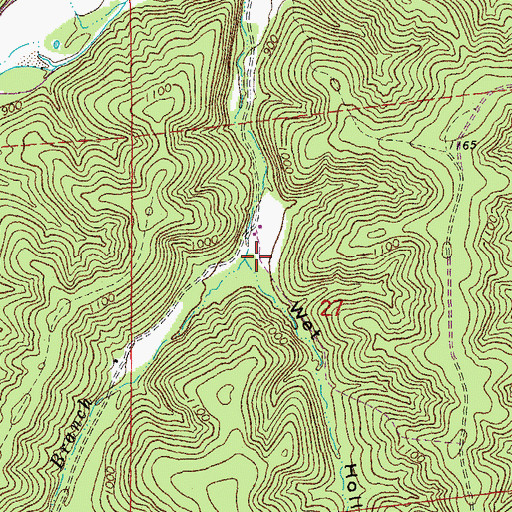Topographic Map of Wet Hollow, MO