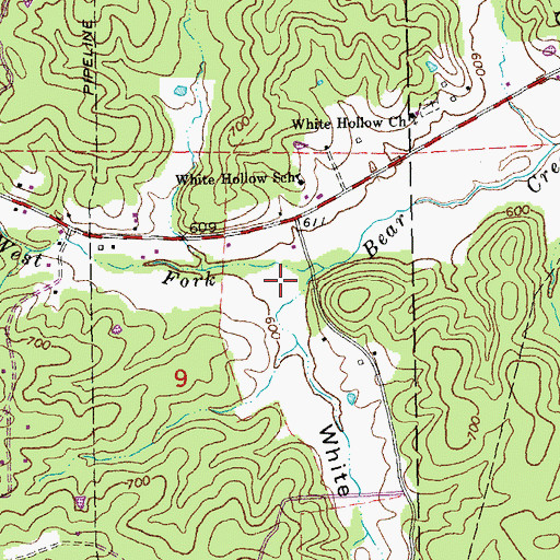 Topographic Map of White Hollow, MO
