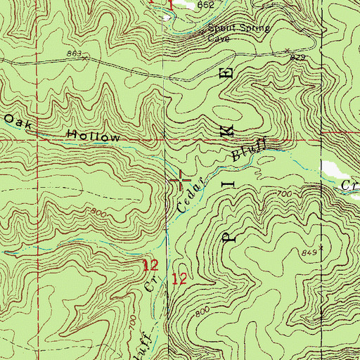 Topographic Map of White Oak Hollow, MO