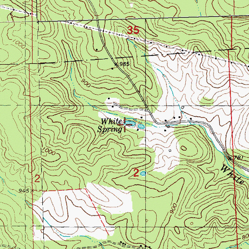 Topographic Map of White Spring, MO