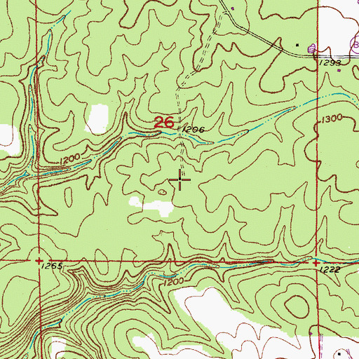 Topographic Map of Whitlock School, MO