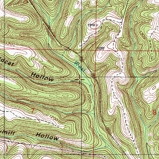 Topographic Map of Wildcat Hollow, MO