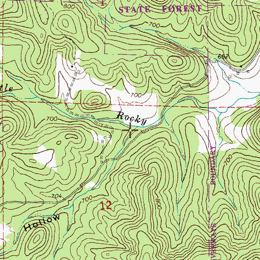 Topographic Map of Wildcat Hollow, MO