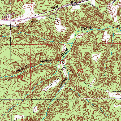Topographic Map of Wildcat Hollow, MO