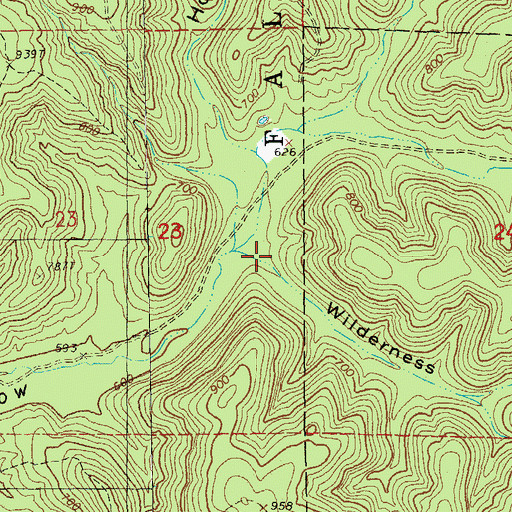 Topographic Map of Wilderness Hollow, MO