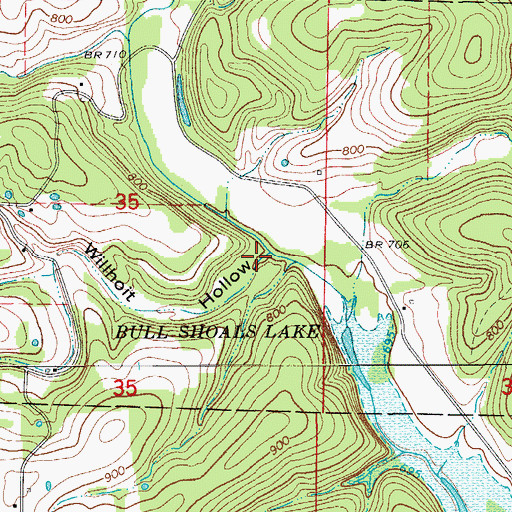 Topographic Map of Willhoit Hollow, MO