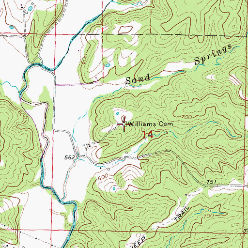 Topographic Map of Williams Cemetery, MO