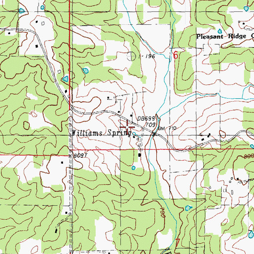 Topographic Map of Williams Spring, MO