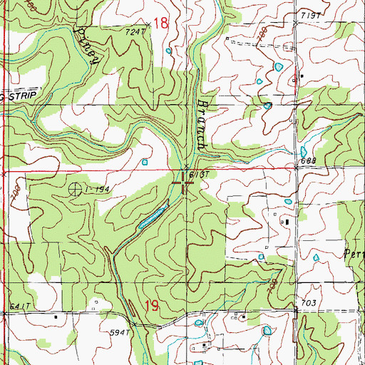 Topographic Map of Williams Spring Branch, MO