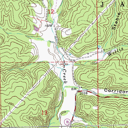Topographic Map of Willis Branch, MO