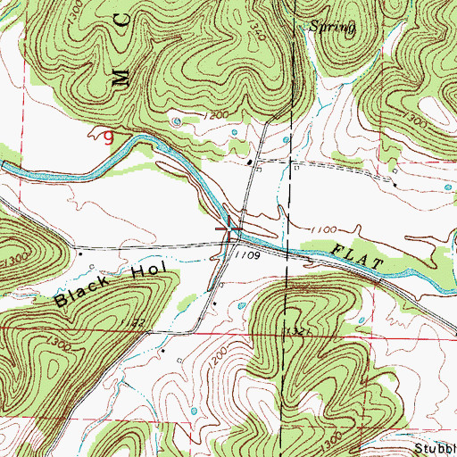 Topographic Map of Willow Branch, MO