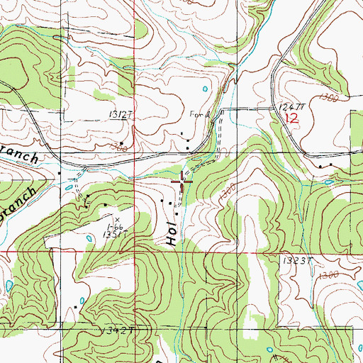Topographic Map of Wilson Hollow, MO