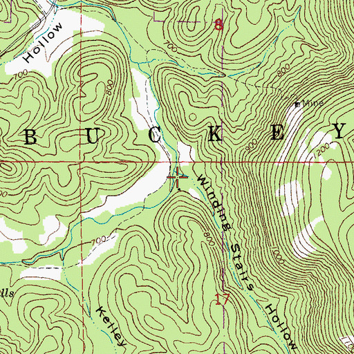Topographic Map of Winding Stairs Hollow, MO