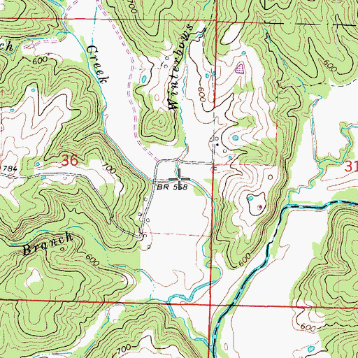 Topographic Map of Winterbows Branch, MO