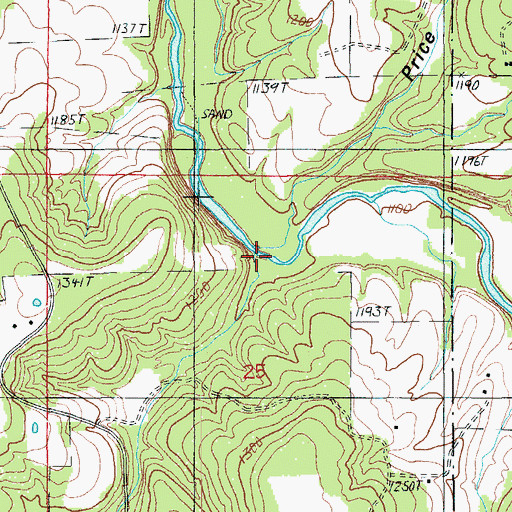 Topographic Map of Wolf Hollow, MO