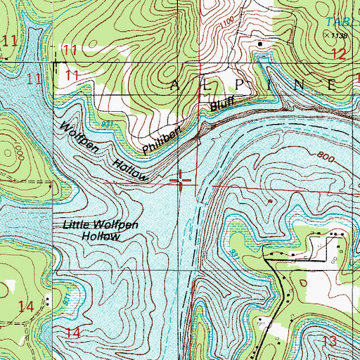 Topographic Map of Wolfpen Hollow, MO