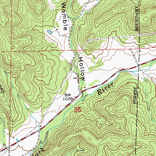 Topographic Map of Womble Hollow, MO