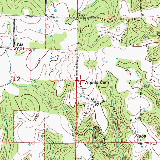 Topographic Map of Woods Cemetery, MO
