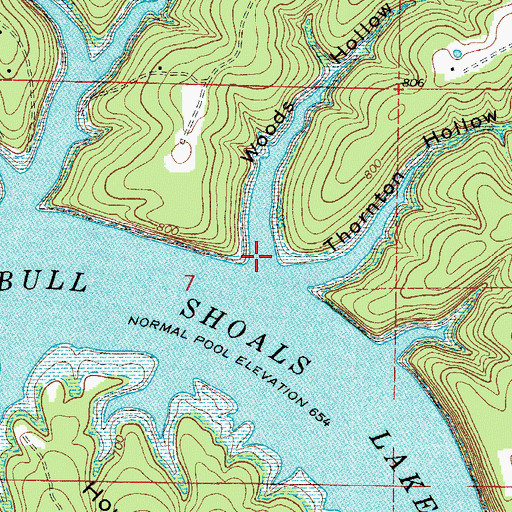 Topographic Map of Woods Hollow, MO