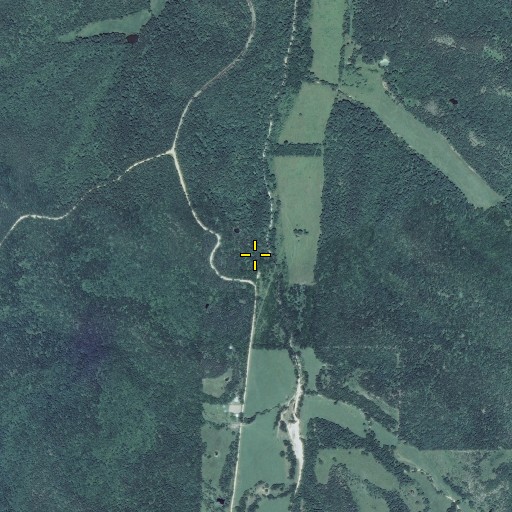 Aerial/Satellite Image of Yelton Spring, MO