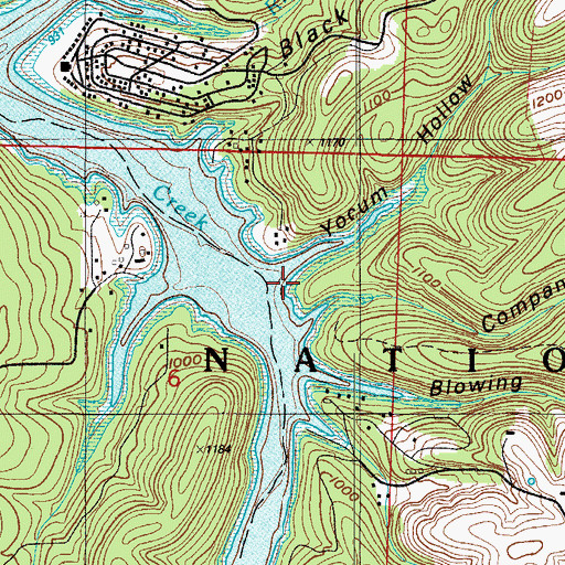 Topographic Map of Yocum Hollow, MO