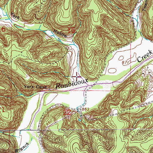 Topographic Map of York Hollow, MO