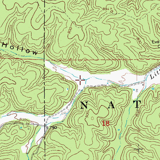 Topographic Map of Young Hollow, MO