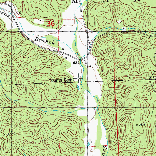 Topographic Map of Younts Cemetery, MO