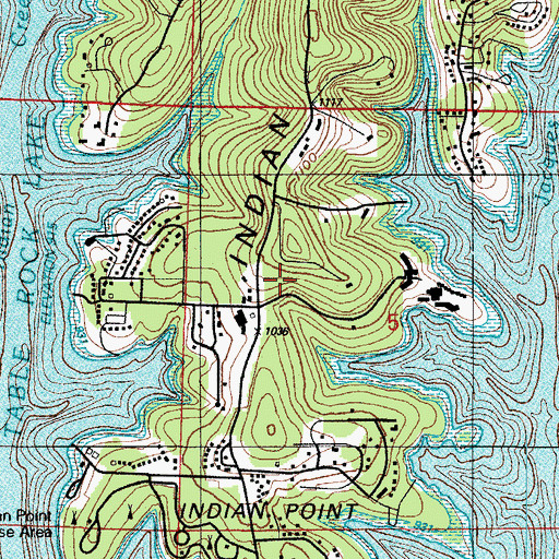 Topographic Map of Indian Point, MO