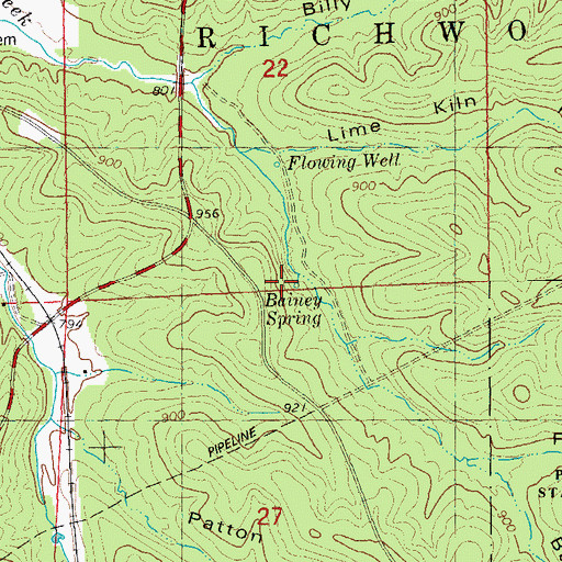 Topographic Map of Bainey Spring, MO