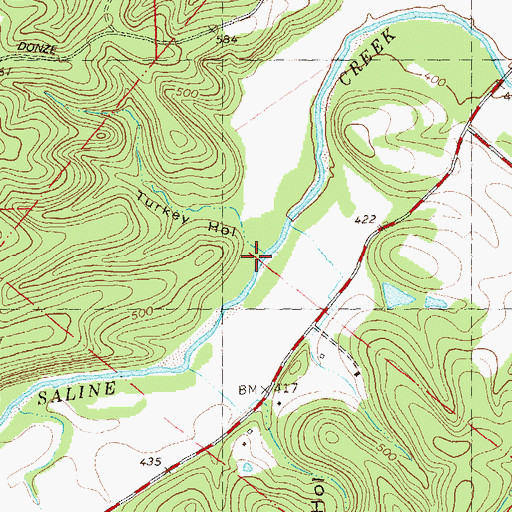 Topographic Map of Turkey Hollow, MO