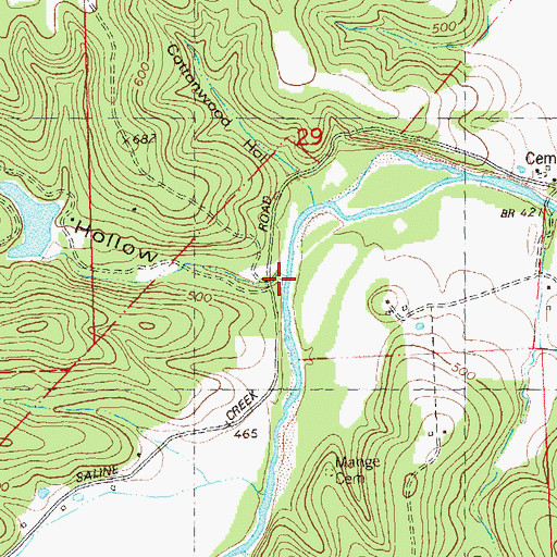 Topographic Map of Amos Hollow, MO