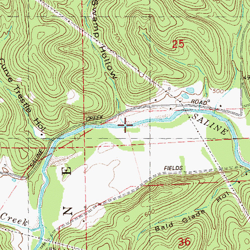 Topographic Map of Swamp Hollow, MO