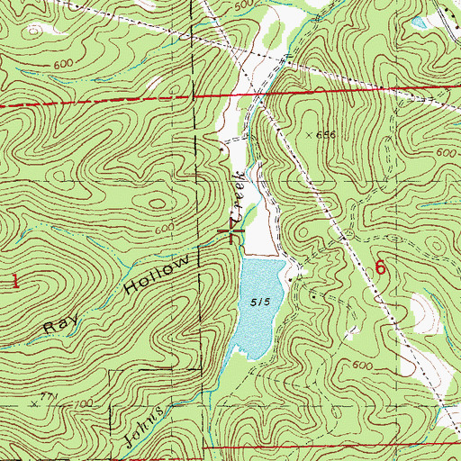 Topographic Map of Ray Hollow, MO