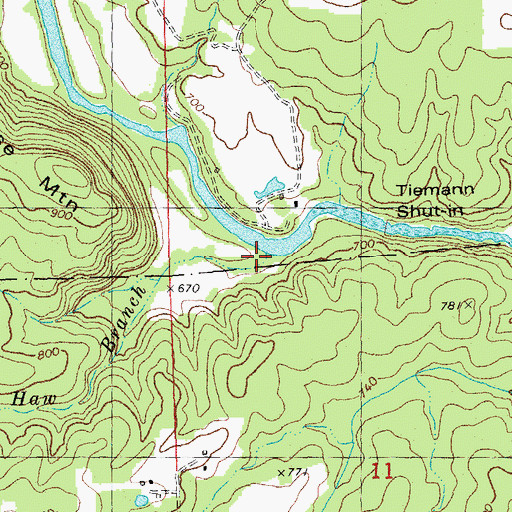 Topographic Map of Haw Branch, MO