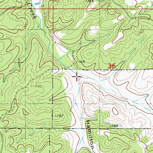 Topographic Map of Hamilton Hollow, MO