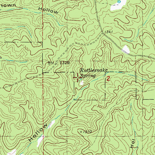 Topographic Map of Rattlesnake Spring, MO
