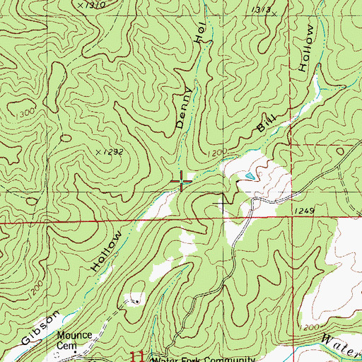 Topographic Map of Bill Hollow, MO
