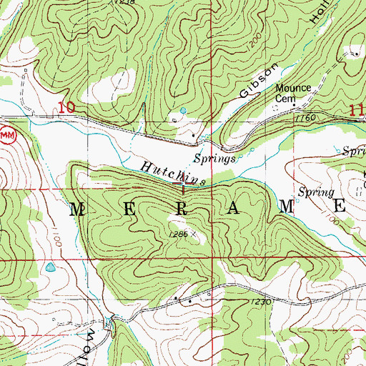 Topographic Map of Gibson Hollow, MO